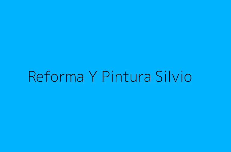 Reforma Y Pintura Silvio